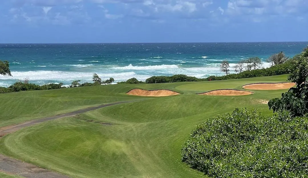 Dom wakacyjny Willa Plantation Hale D2 Kapa'a